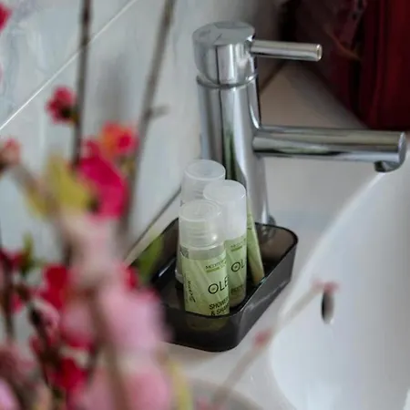 Linda 公寓 圣巴特罗摩艾美尔