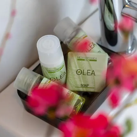 公寓 Linda 圣巴特罗摩艾美尔